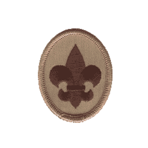 Boy Scout Ranks